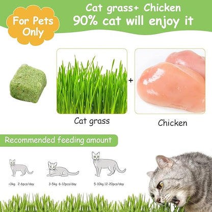 HavenJanny 60g Cat Grass Treats for Cats, Freezed Drying Cat Grass Teething Stick Snacks for Kitty, Edible Cats Chew Toys for Teeth Cleaning and Hairball Removal