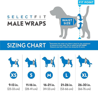 Paw Inspired Select Fit Male Dog Diapers, Disposable Male Wraps with Wetness Indicator| Belly Bands for Small, Medium, Large Dogs (Large, 20 Count)