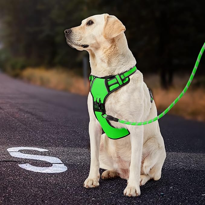 IVY&amp;LANE No Pull Dog Harness for Large Dogs, Dog Vest Harness with Leash, Safety Belt and Storage Strap, Fully Adjustable Harness, 360° Reflective Strip, Soft Handle (Green, XL)