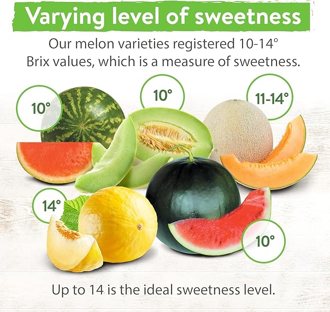 HOME GROWN 𝗨𝗦𝗔 𝗣𝗥𝗘𝗠𝗜𝗨𝗠 Melon Seeds Variety Pack 5 𝗡𝗢𝗡-𝗚𝗠𝗢 Heirloom Vegetable Seeds, Watermelon Cantaloupe Honeydew Sugar Baby &amp; Melon, High Germination for Planting Home Garden Indoors