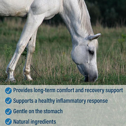 Absorbine Bute-Less Comfort &amp; Recovery Supplement Pellets, Healthy Inflammatory Response, 5 lb / 80 Day Supply