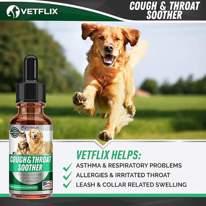 Kennel Cough Treatment for Dogs &amp; Cats - Made in USA - Dog Allergy &amp; Cat Asthma Relief - Mullen Leaf &amp; Elderberry Blend - Dry, Wet &amp; Barky Cough Relief for Dogs &amp; Cats - All Breeds &amp; Sizes - 2 Fl Oz