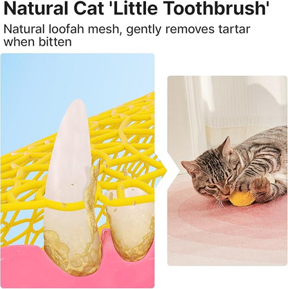 Potaroma Loofah Cat Chew Toys with Catnip and Silvervine, 3PCS Interactive Kitten Loofa Dental Teething and Biting Catnip Toys for Cat&