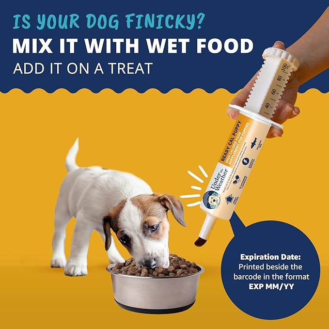 Under the Weather Pet | Ready Cal for Puppies 80cc | High Calorie Puppy Nutritional Supplement | Puppy Weight Gainer and High Calorie Booster | 10 Vitamins, 7 Minerals &amp; Omega Fatty Acids