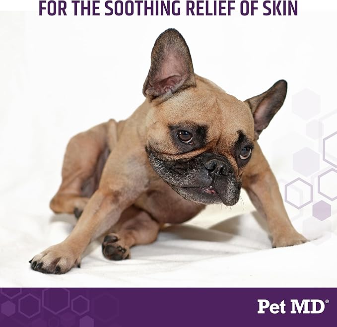 Pet MD All-in-One Derm Care - Hypochlorous Acid Spray for Dogs &amp; All Pets - Skin Soother for Dogs &amp; Wound Spray for Dogs - Cat Wound Care, Dog Hot Spot Remedy, &amp; Dog Itch Relief - 8oz