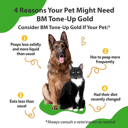 Pet Wellbeing BM Tone-Up Gold for Dogs &amp; Cats - Supports Healthy Digestive Function, Solid Stools, Normal Bowel Movements, Bayberry - Veterinarian-Formulated Herbal Supplement 4 oz (118 ml)