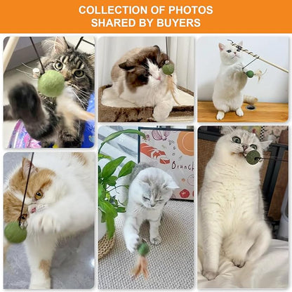 Cat Feather Toys with Catnip Ball, Feathers &amp; Bell - 2 Replaceable Mouse Heads, Elastic Rope &amp; Wooden Handle for Aggressive Kittens, Durable Bite-Proof Interactive Cat Teaser for Indoor Play
