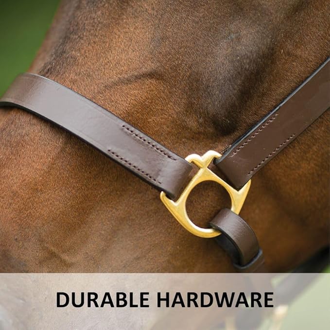 Dura-Tech Premier Lancaster Leather Halter for Horses | Simple Economy Leather Halter with Adjustable Fit &amp; Solid Brass Hardware