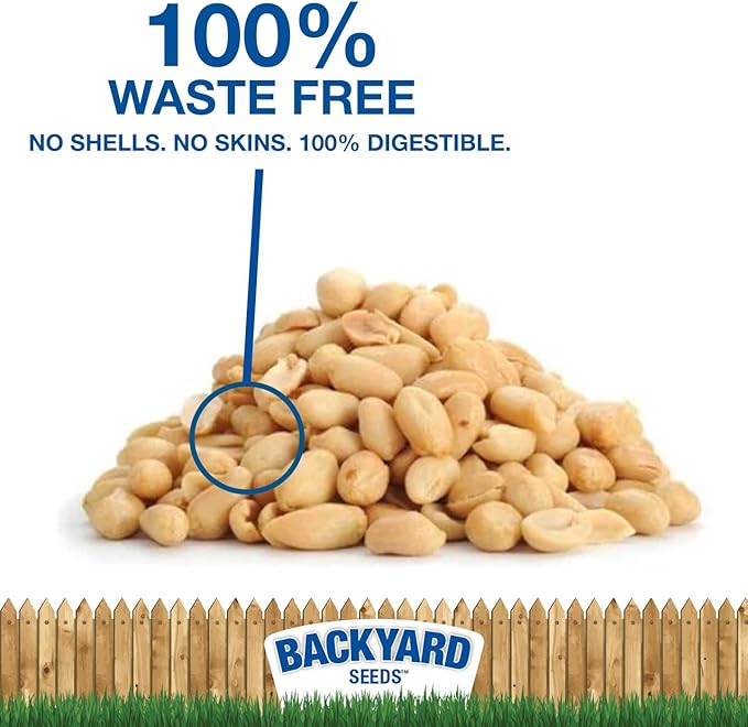 CountryMax Backyard Seeds Shelled Whole Peanuts for Woodpeckers, Birds, Squirrels &amp; Wildlife – Premium Wild Animal Food, 10 lbs Bag