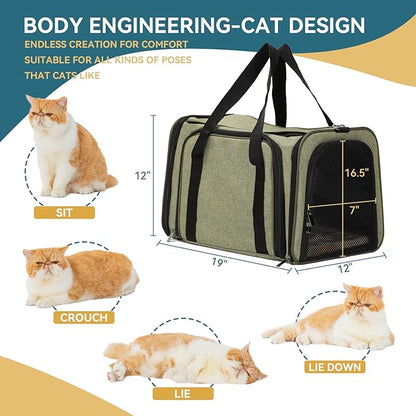 Petsfit Top Load Expandable Dog Carrier for Small Dog, Medium Cat, Or 2 Small Cats with Comfy Pad, Escape Proof, Easy Storage, Washable, Fit for Vet Visit and Outdoor, 19"X12" X12", Green