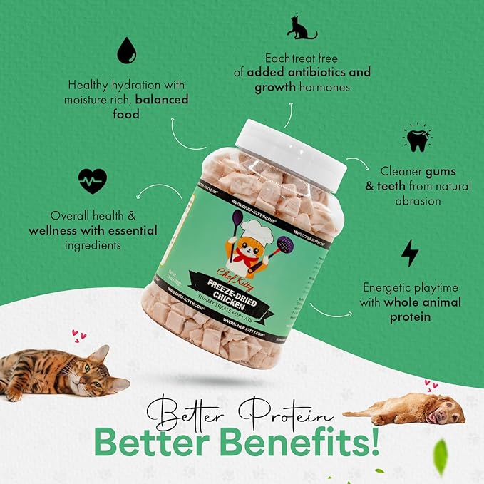Freeze-Dried Chicken Treats for Cats &amp; Dogs – 100% Human Grade, Single Ingredient, High-Protein, Healthy Snack – No Additives or Preservatives – 3.5oz - Inspected &amp; Tested in USA