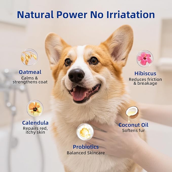 Unipaws Probiotic Short-Haired Dog Conditioner – Degreasing, Soothing &amp; Anti-Shedding for Red, Itchy Skin, Vegan Calendula, Coconut &amp; Oatmeal – EWG Green &amp; Medicated, Made in Korea, 16.9 Fl Oz