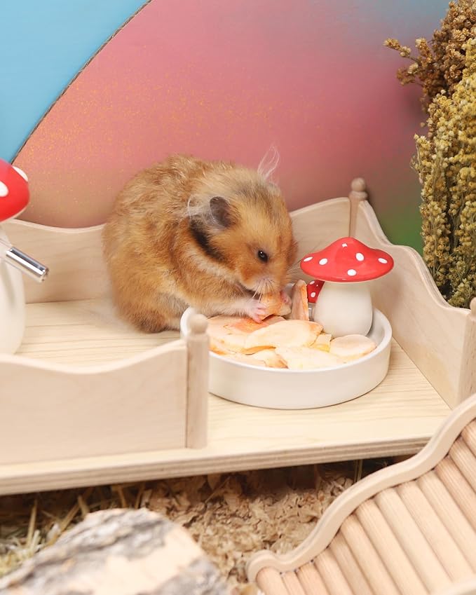 Niteangel Hamster Snack &amp; Treats Toy - Small Animal Natural Treat for Dwarf Syrian Robo Hamsters Gerbils Mice Lemmings Degus or Other Small-Sized Pets