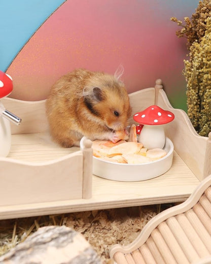 Niteangel Hamster Snack &amp; Treats Toy - Small Animal Natural Treat for Dwarf Syrian Robo Hamsters Gerbils Mice Lemmings Degus or Other Small-Sized Pets