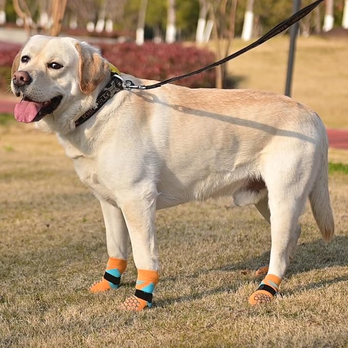 KOOLTAIL Dog Socks for Hot Pavement, Summer Breathable Dog Socks to Prevent Licking Paws, Non Slip Pet Boots&amp;Paw Protectors for Hardwood Floor,Grippy Shoes for Small Medium Large Senior Dogs,Orange M