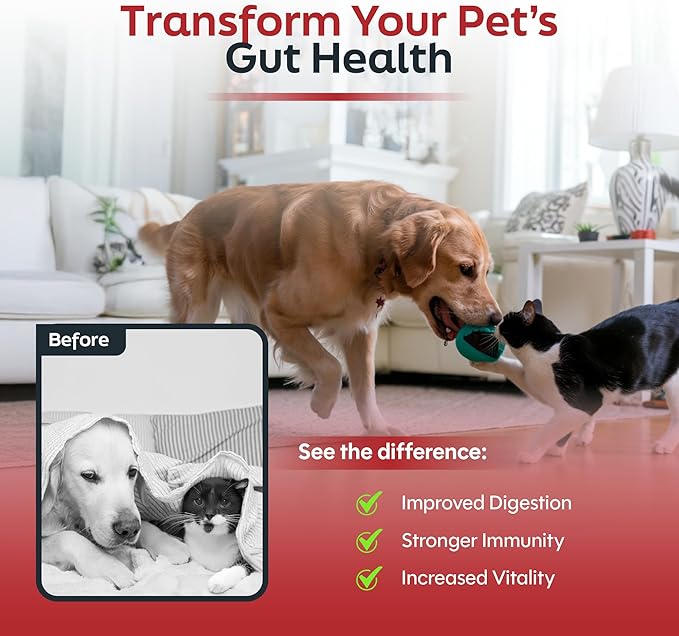 Probiotics for Cats &amp; Dogs - 6 Billion CFU Prebiotic &amp; Probiotic Powder - 8 Strains Pet Digestive Support - Gut Health Supplement with Flaxseed &amp; Pumpkin - 30 Day Supply with Scoop