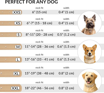 CollarDirect Rolled Leather Dog Collar, Soft Padded Round Puppy Collar, Handmade Genuine Leather Collar Dog Small Large Cat Collars 13 Colors (11-14 Inch, Beige Smooth)