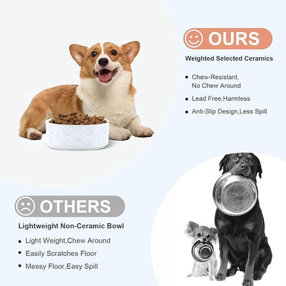 SPUNKYJUNKY Ceramic Dog and Cat Bowls 2 Pack, 6.1&