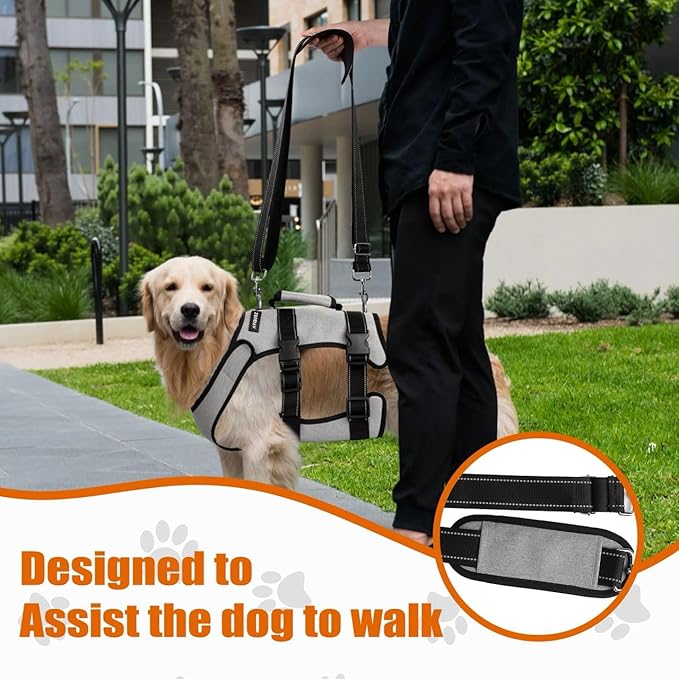 Ayquez Dog Lift Harness with Storage and Transport Bag, Dog Harness with Handle for Lifting &amp; Hip dysplasia, arnés para Perros pequeños, pechera para Perros (Gray, XL)