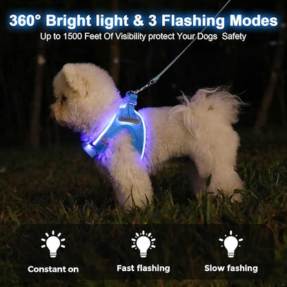 Light Up Dog Harness,Rechargeable LED Dog Harness for Small Medium Large Dogs,Reflective Lighted Safety Vest for Night Walking &amp; Camping,Lightweight &amp; Adjustable,Sky Blue,L