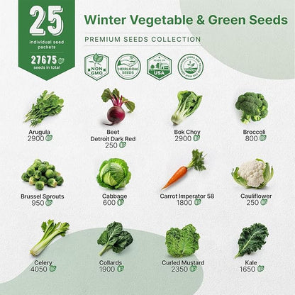 Organo Republic 25 Winter Vegetable &amp; Green Seeds Variety Pack for Outdoors &amp; Indoor Home Gardening 27670+ Non-GMO Heirloom Seeds: Broccoli Beet Carrot Collard Lettuce Radish Spinach Pea Kohlrabi