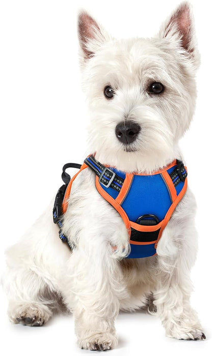 rabbitgoo Dog Harness No Pull with 2 Leash Clips, Adjustable Soft Padded, Reflective Oxford No Choke Pet Vest with Easy Control Handle for Puppy, Blue &amp; Orange, XS