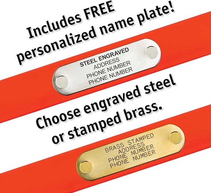 Biothane Custom Dog Collar – Waterproof, Stink-Proof Personalized Collar with Name &amp; Phone Number – Durable, Many Sizes and Colors – Assembled in USA (Black)