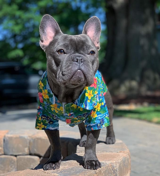 Parisian Pet Stylish Dog Hawaiian Shirt - Cotton Summer Beach Outfit - Hook &amp; Loop Closure - Machine Washable - XS
