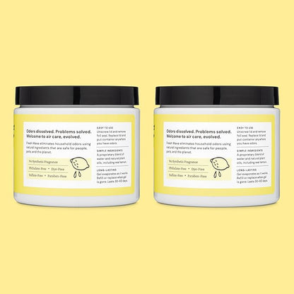 Fresh Wave Lemon Odor Removing Gel, 15 oz., Pack of 2 - Safer Odor Absorbers for Home, Natural Plant-Based Odor Eliminator, Every 15 oz. lasts 30-60 Days, For Cooking, Trash &amp; Pets