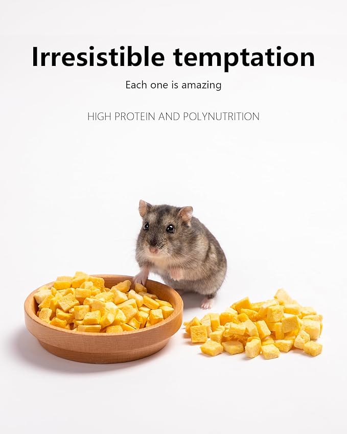 Niteangel Hamster Snack &amp; Treats Toy - Small Animal Natural Treat for Dwarf Syrian Robo Hamsters Gerbils Mice Lemmings Degus or Other Small-Sized Pets