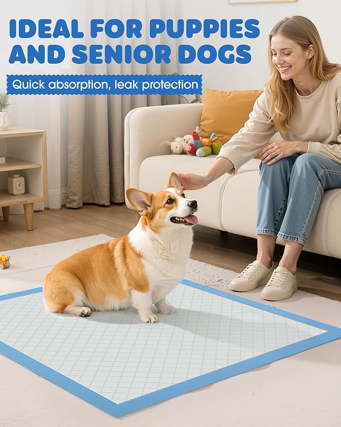 100-Pack X-Large Puppy Pads - 34&