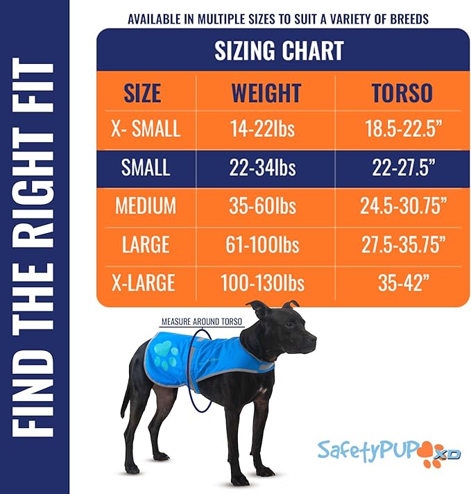 Dog Reflective Vest – Hi-Vis Fluorescent Visibility That Helps to Safeguard Your Pet On/Off Leash in Urban &amp; Rural Areas (Blue, Small)