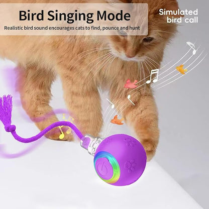 Interactive Cat Toys, Automatic Moving Cat Toys for Bored Indoor Adult Cats, Fast Rolling, Chirping &amp; Motion-Activated Kitty Toys, Fun Gift for Cats with Speedy Tail 2.0, USB Rechargeable, Purple
