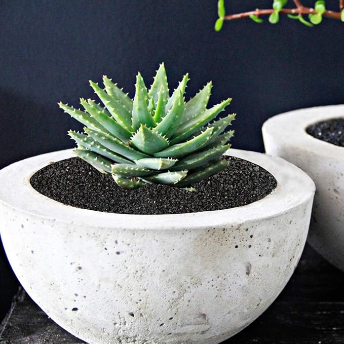 TOYPOPOR 6lb Succulents and Cactus Black Sand, Décor &amp; Additive Tiny Stones, DIY Rocks Gravel, Decorative Pebbles for Bonsai, Fairy Gardening, Terrarium, Vases Fillers, Top Dressing
