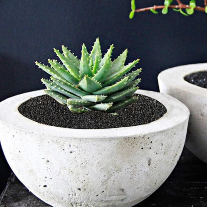 TOYPOPOR 6lb Succulents and Cactus Black Sand, Décor &amp; Additive Tiny Stones, DIY Rocks Gravel, Decorative Pebbles for Bonsai, Fairy Gardening, Terrarium, Vases Fillers, Top Dressing