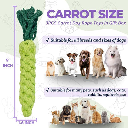 3PCS Green Woven Pet Chew Set, Dog Chew Accessories, Cat Interactive Chews, Safe &amp; Durable Braided Chews for Dogs, Cats &amp; More Pets