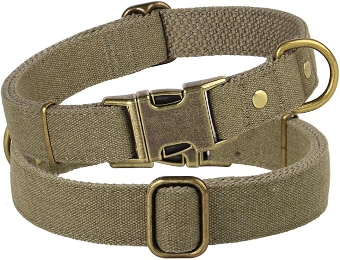 PET ARTIST Dog Collars for Small Dogs, Soft Padded Premium Nylon Dog Collar with Quick Release Metal Buckle, Durable &amp; Adjustable Pet Collars for Boy Gifts, Green, S (Fit 10-16")