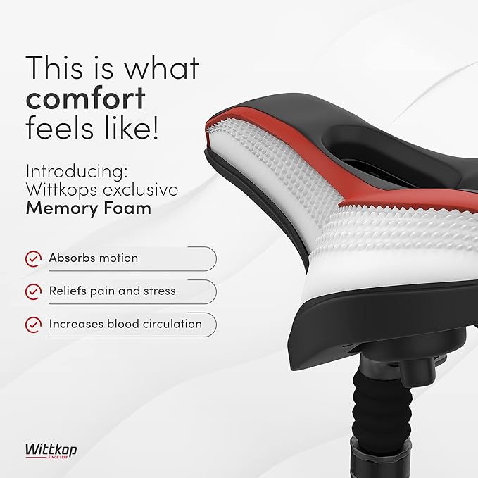 Wittkop Bike Seat I Bicycle Seat for Men and Women, Waterproof Bike Saddle with Innovative 5-Zone-Concept I Exercise Bike Seat for BMX, MTB &amp; Road