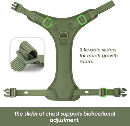 No Pull Dog Harness, Puppy Vest with Front Clip for Small Medium Large Sized Dog (Misty Green,S)