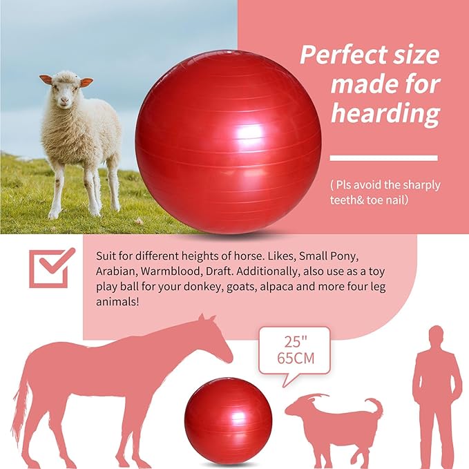 17-Inch Equine Ball for Play &amp; Training - Anti-Burst, Mega Horse Soccer Ball for Goat, Donkey