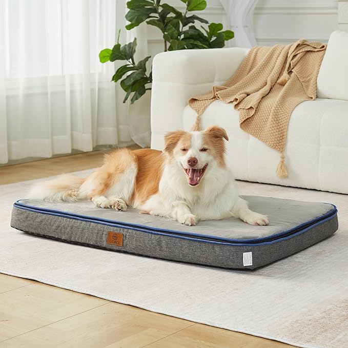Memory Foam XL Dog Bed - 4” Thick Orthopedic Beds for Extra Large Dogs - Waterproof Dog Bed with Removable Washable Cover &amp; Wrap-Around Zipper - Ultimate Comfort and Easy Maintenance