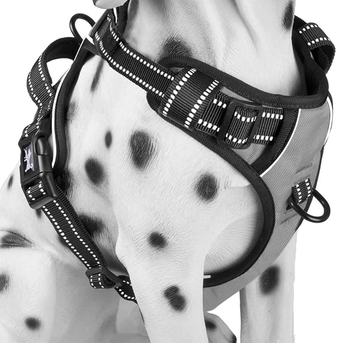 PoyPet No Pull Dog Harness, Reflective Comfortable Vest Harness with Front &amp; Back 2 Leash Attachments and Easy Control Handle Adjustable Soft Padded Pet Vest for Small to Large Dogs (Gray,M)