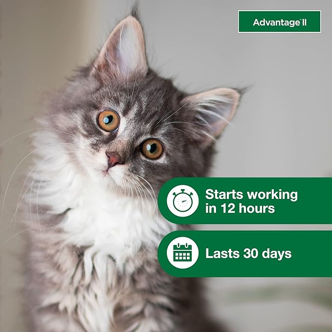 Advantage II Kitten Vet-Recommended Flea Treatment &amp; Prevention | Cats 2-5 lbs. | 2-Month Supply