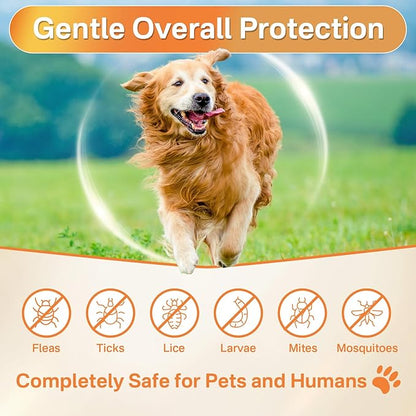 5-in-1 Dog Flea and Tick Treatment Chewable, Natural Flea and Tick Prevention for Dogs Chewable - Flea &amp; Tick | Hip &amp; Joint | Skin &amp; Coat | Immunity Support | Digestive for All Breeds &amp; Sizes