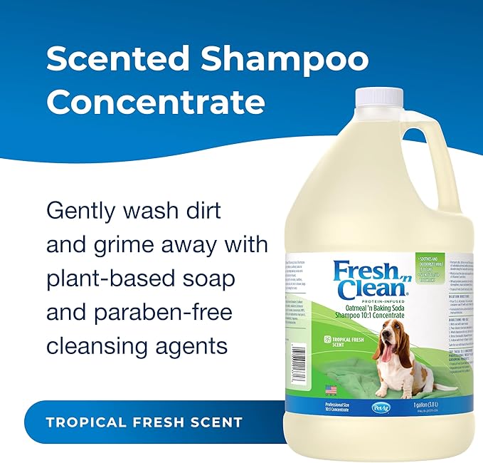 PetAg Fresh ’n Clean Oatmeal ’n Baking Soda Shampoo - Tropical Fresh Scent (10:1 Concentrate) - 1 Gallon - Nurtures Dry, Itchy Skin with Vitamin E &amp; Aloe - Strengthens &amp; Repairs - Soap Free