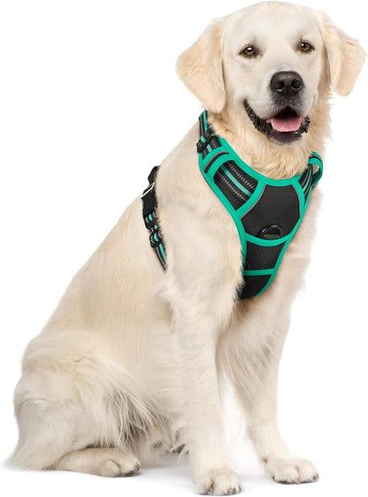 rabbitgoo Dog Harness No Pull with 2 Leash Clips, Adjustable Soft Padded, Reflective Oxford No Choke Pet Vest with Easy Control Handle for Large Dogs, Black &amp; Turquoise, XL
