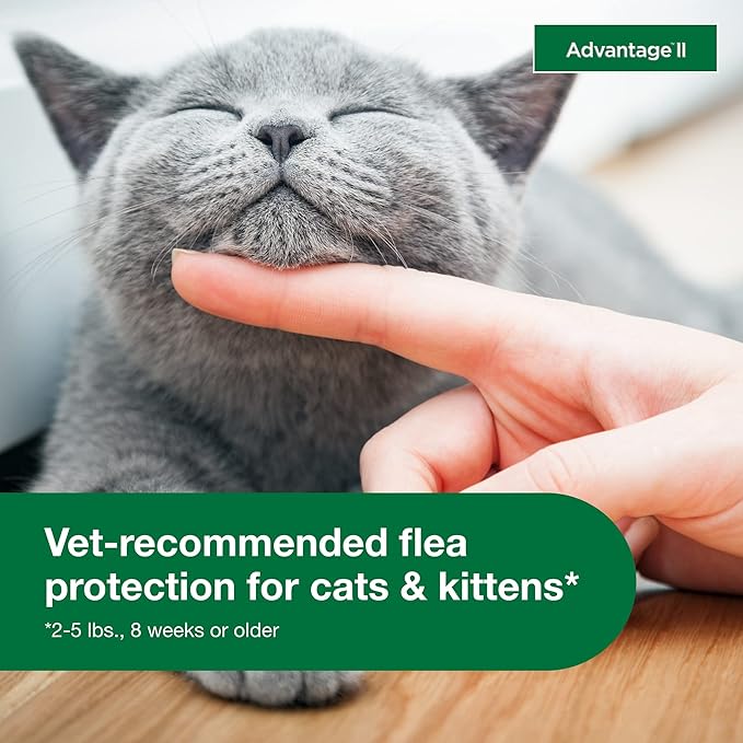 Advantage II Kitten Vet-Recommended Flea Treatment &amp; Prevention | Cats 2-5 lbs. | 2-Month Supply