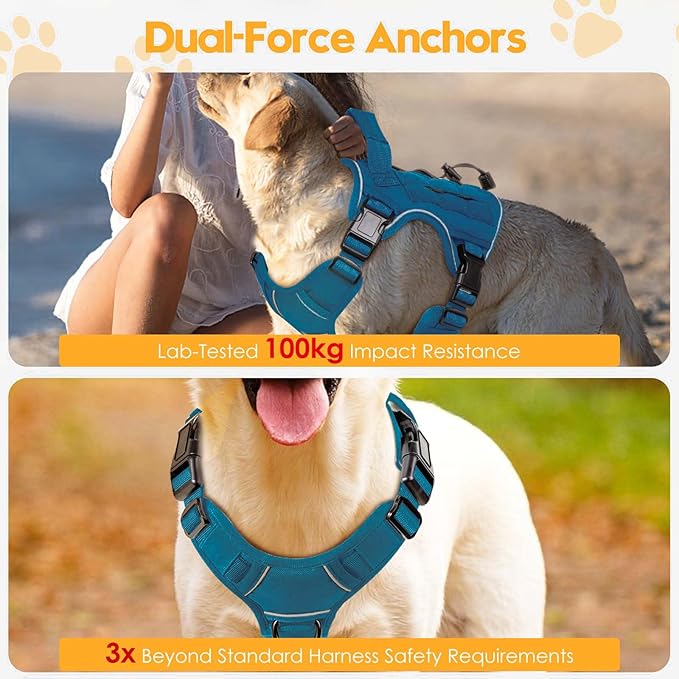 Heavy-Duty Tactical Dog Harness for Large Dogs, No Pull Adjustable Reflective Pet Vest with Molle System, K9 Military-Grade Control for Service Training, Outdoor &amp; 10+ Breeds, Blue, Small