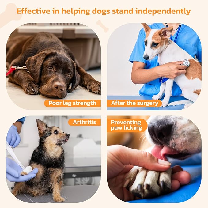 Non-Slip Paw Protector Pads for Senior Dogs, Anti-Slip Rubber Traction Stickers, Protect Dogs&