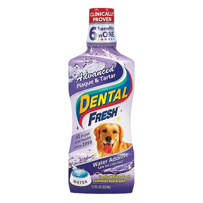 Dental Fresh Advanced Plaque and Tartar Water Additive, 17oz – Dog Teeth Cleaning Formula to Freshen Breath and Improve Cat &amp; Dog Dental Care